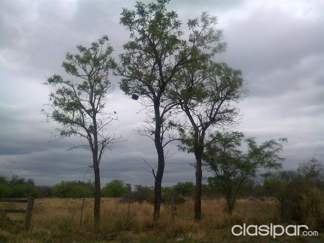 VENDO TERRENO EN CAMPO ACEVAL — foto 2