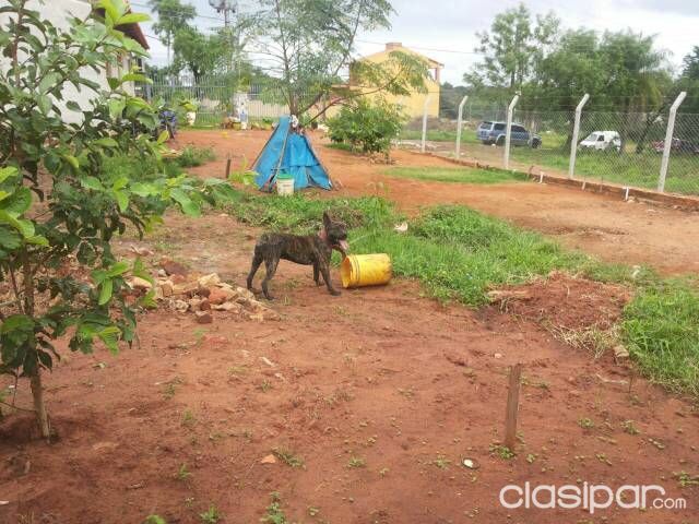 Vendo casa en M.R.A — foto 2
