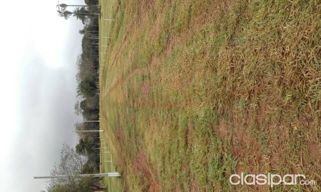 Residencial km 29 de itaugua nuevo lanzamiento a 1.200 metros de la ruta 2 km 29 sobre calle empedrado con vista panorámica a Serranía zona poblada omnibus frente a la fracción — foto 3
