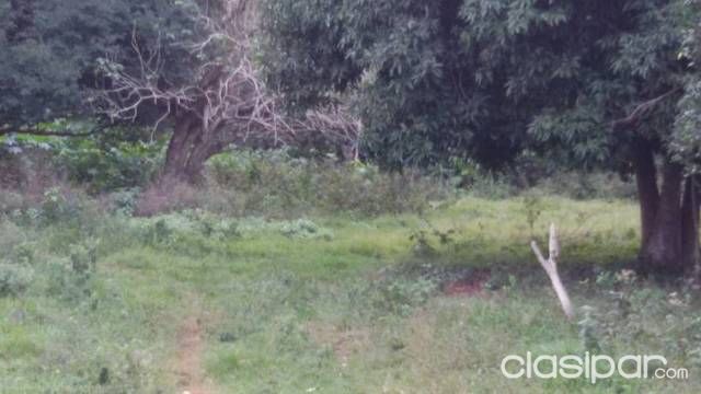 Vendo terreno — foto 3