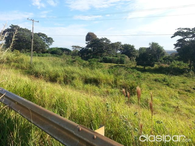 vendo hectareas en canindeyu — foto 3
