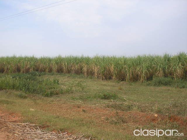 GUARAMBARE - TERRENO 40 hectareas - excelente ubicacion — foto 2