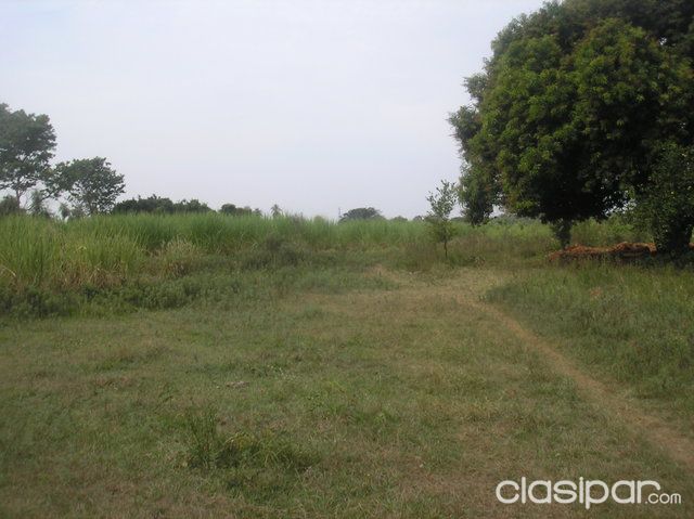 GUARAMBARE - TERRENO 40 hectareas - excelente ubicacion — foto 3