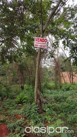 VENDO Terreno San Lorenzo — foto 2