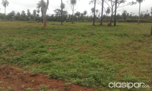 Urbanización santa rosa nuevo lanzamiento hoy es el gran día para tener tu lote propio tenemos los mejores lotes para vs en km 31 12 ruta 1 — foto 3