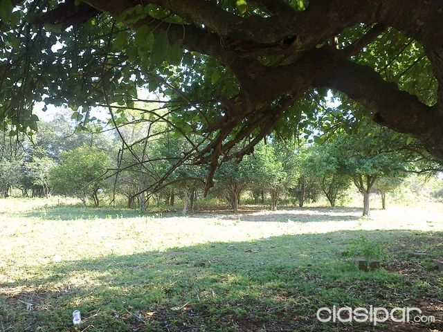 Terreno especial para granja o casa de fin de semana — foto 2