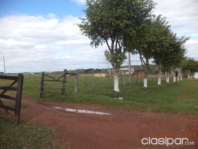 VENDO HERMOSOS TERRENOS CON BUENA UBICACIÓN Y ALTURA — foto 3
