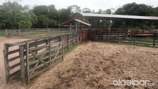 Vendo Estancia Formada, en Gral. Aquino Zona Colonia Friesland - -765 Has. — foto 2