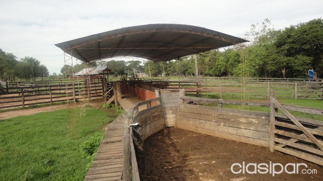 Vendo Estancia Formada, en Gral. Aquino Zona Colonia Friesland - -765 Has. — foto 3