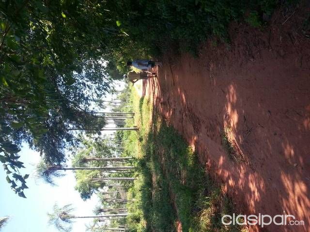 Vendo terreno luque-yukyry — foto 3