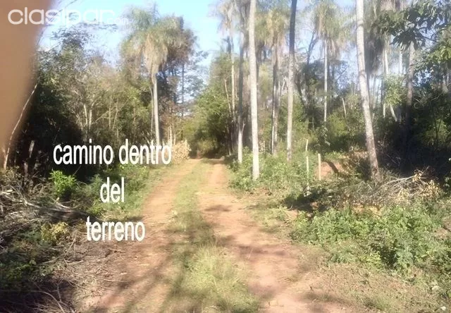 Terreno. Casa Quinta. Estancia. Campo — foto 3