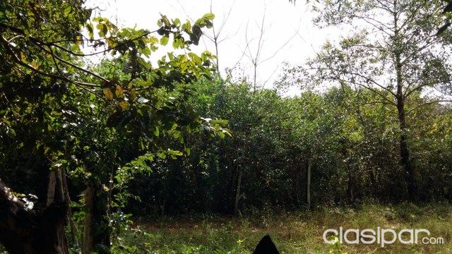 HERMOSO TERRENO EN PIRIBEBUY CERCA DEL ORATORIO SAN BLAS — foto 2