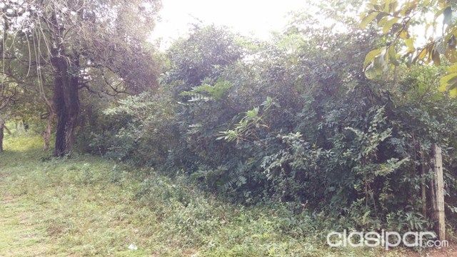 HERMOSO TERRENO EN PIRIBEBUY CERCA DEL ORATORIO SAN BLAS — foto 3