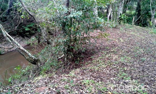 1ha terreno con pradera, bosque y arroyo en Piribebuy — foto 3