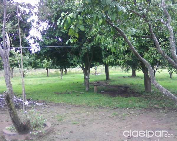 VENDO CASA QUINTA — foto 3