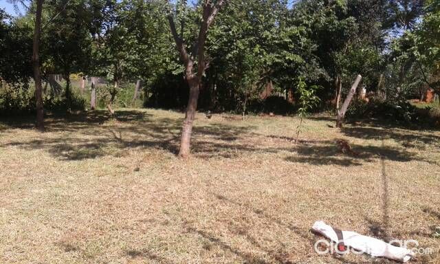 Vendo una casa — foto 3