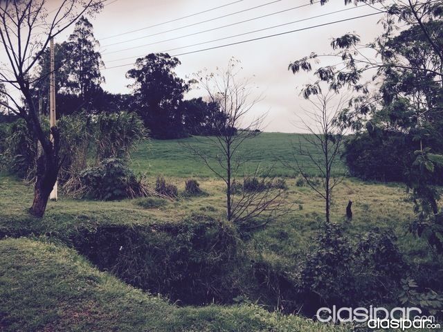 VENDO TERRENO DE 20 HECTAREAS — foto 2