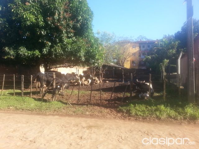 vendo terreno — foto 2
