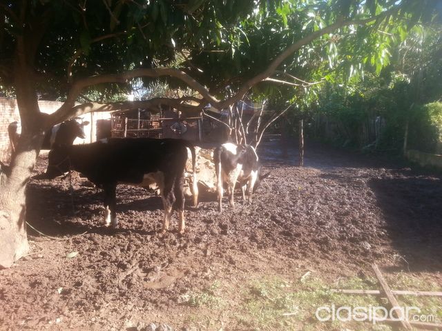 vendo terreno — foto 3