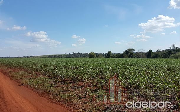 VENDE-SE PROPRIEDADE NA LINHA YNHARAO EM NARANJAL — foto 3