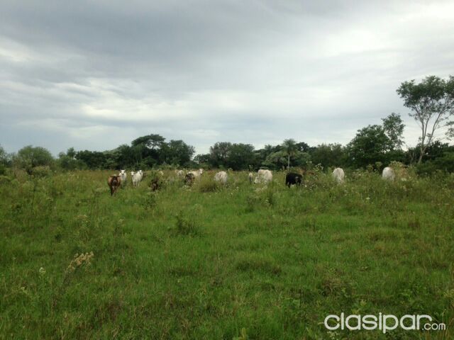Granja formada en Itapua — foto 2