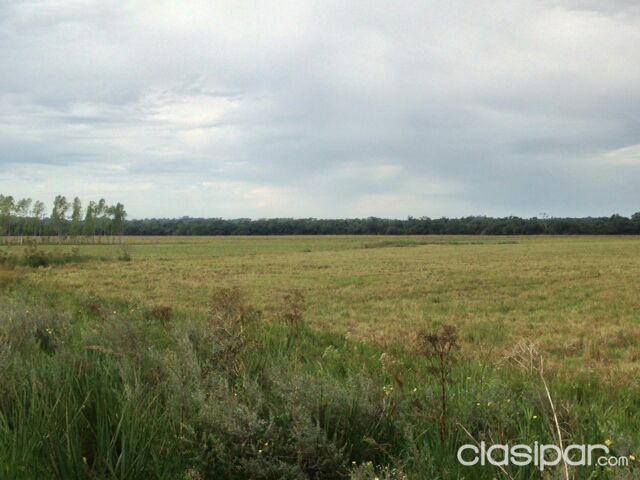 Granja formada en Itapua — foto 3