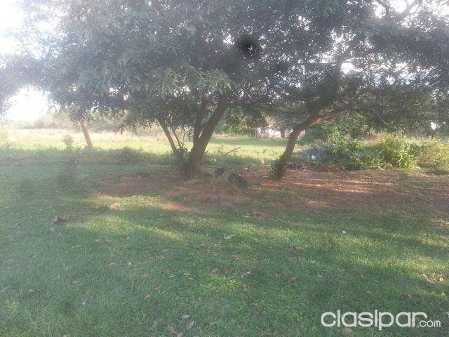 VENDO TERRENO EN LUQUE.LUGAR TRANQUILO. A MINUTOS DE ASUNCION — foto 3