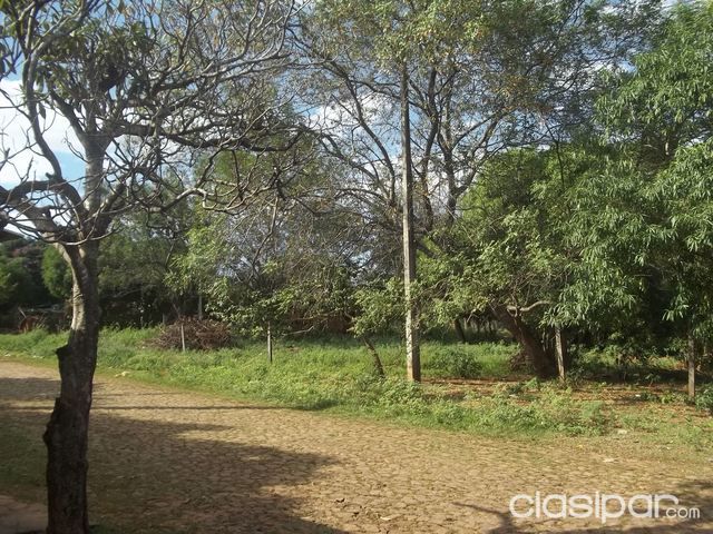 vendo 8 terrenos juntos zona laurelty luque sobre av nanawa 2600 m2 — foto 3