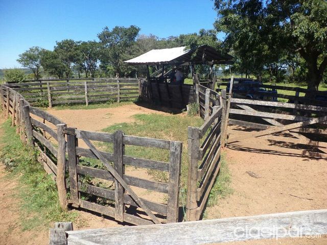 Vendo 63 Has a 70 kilómetros de Asunción. — foto 2