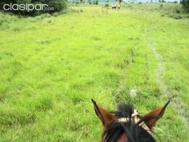 PARAGUARI - CAAPUCU A 2 KMS DEL ASFALTO VENDO 480 HAS DE TERRENO — foto 2