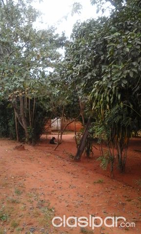 VENDO TERRENO — foto 3