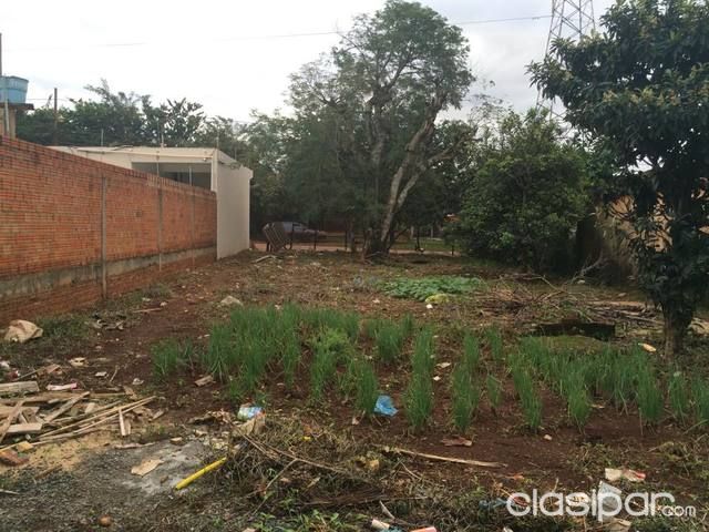 Vendo terreno de 16x24 m2 en Ciudad del Este, Km 5 12 La Blanca — foto 3