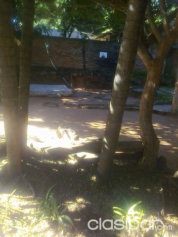 Vendo terreno en Lambare — foto 2