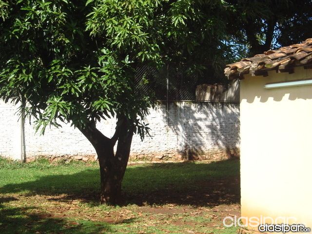 VENDO TERRENO ESPECIAL PARA DUPLEX A PASOS DE MCAL LOPEZ — foto 3