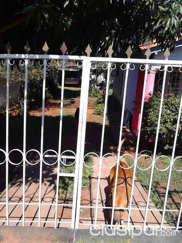 Hermosa casa a cuadras de ruta 2 — foto 3