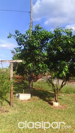 OFERTA DE TERRENO EN SANTA RITA APROVEITE — foto 3