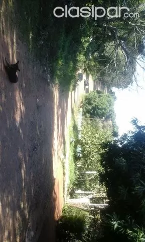 VENDO 1145mts2 EN EL CENTRO DE AREGUA — foto 2