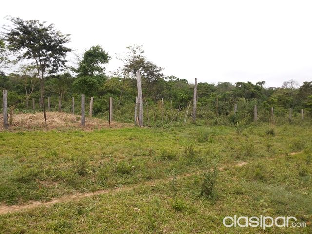 VENDO HERMOSO 8 TERRENOS JUNTOS — foto 3