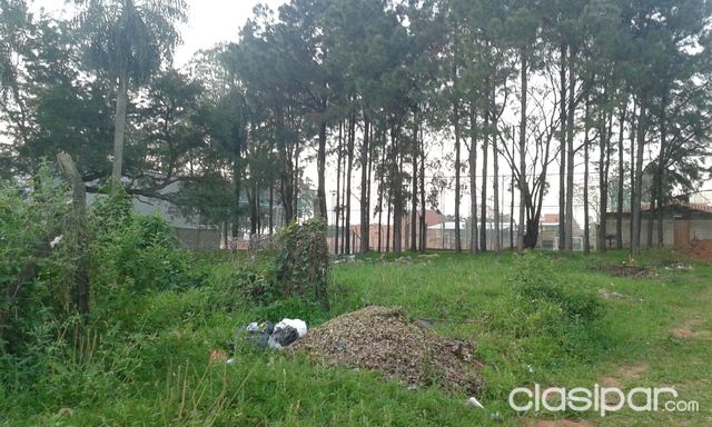 Z SUPER STOK A 200 MTS. DE VOM POLESKI — foto 3