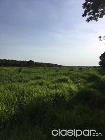 vendo granja — foto 2
