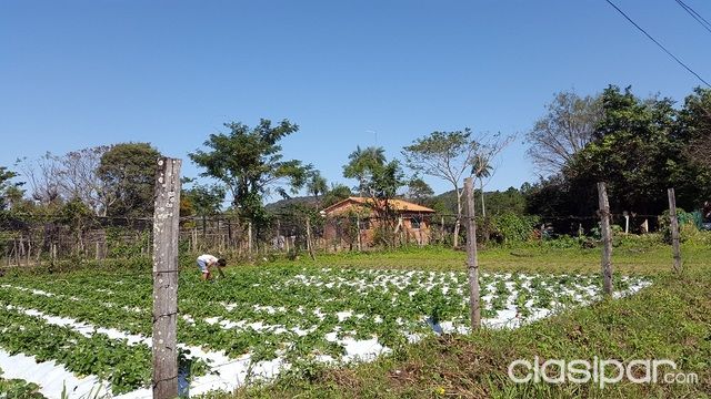 2 terrenos en venta a media cuadra de Ruta Aregua - Patiño — foto 2