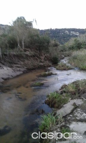 VENDO UNA PROPIEDAD DE 55OO MTS CON ARROYO PIRIBEBUY NARANJO — foto 3