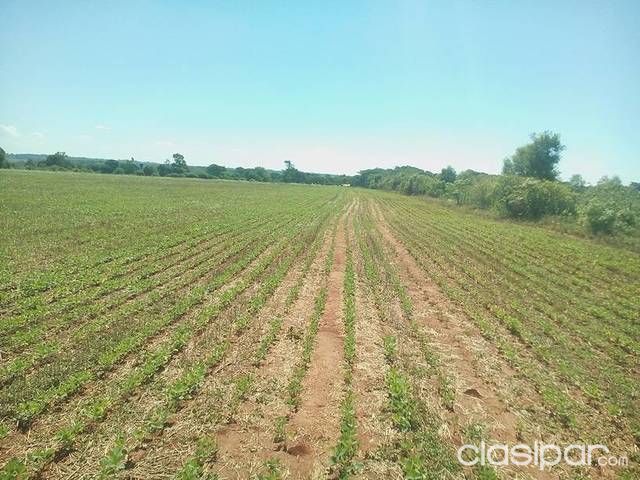 Coronel bogado — foto 3