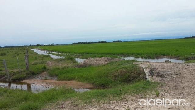 Zona yabevyry - san ignacio — foto 3