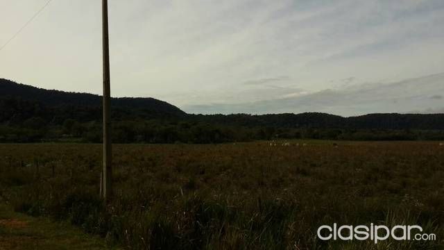 VENDO 15 HECTAREAS, UBICADO EN LA COLMENA APYRAGUA — foto 2