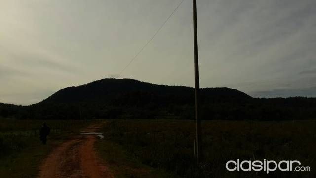 VENDO 15 HECTAREAS, UBICADO EN LA COLMENA APYRAGUA — foto 3