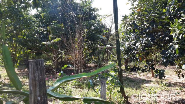 Vendo terrenos en Mbocayaty-Guaira — foto 2