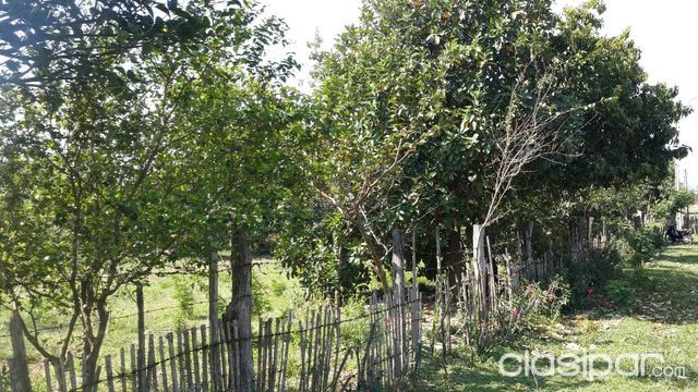 Vendo terrenos en Mbocayaty-Guaira — foto 3