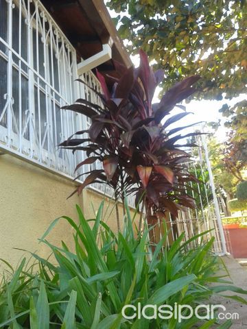 ALQUILO HERMOSA Y AMPLIA VIVIENDA — foto 2