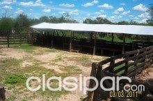 VENDO ESTANCIA A 200 KM AL NORTE DE LOMA PLATA — foto 2